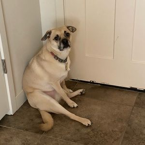 Meet your Posher, Kenneth